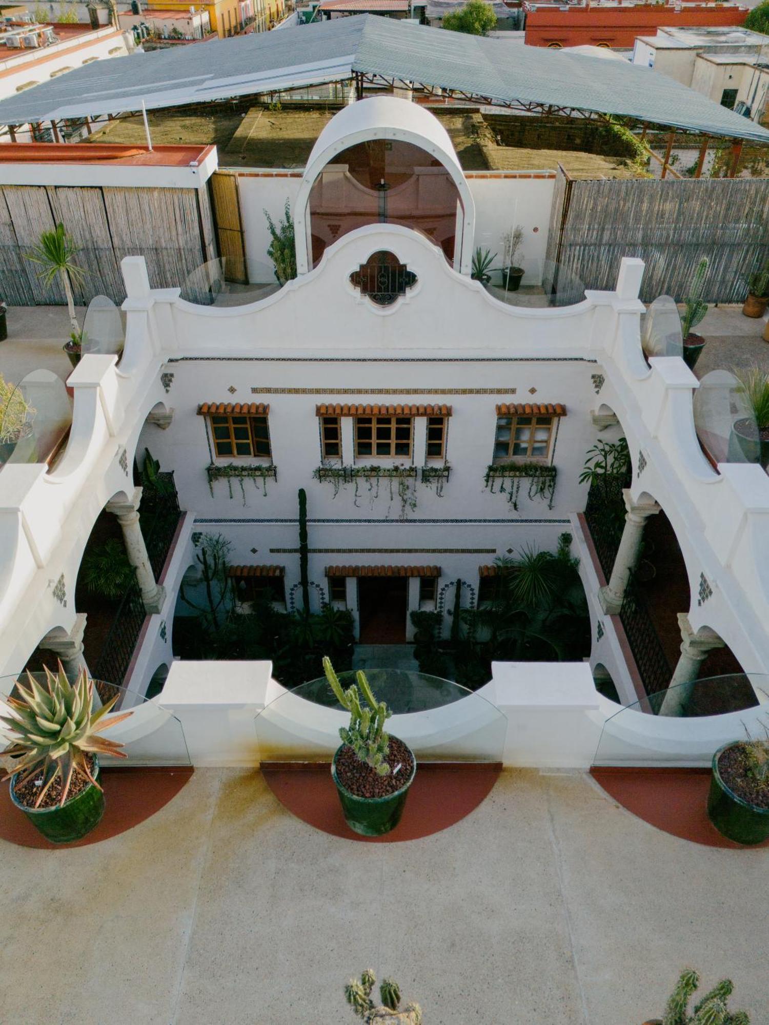Grana B&B Oaxaca Ngoại thất bức ảnh