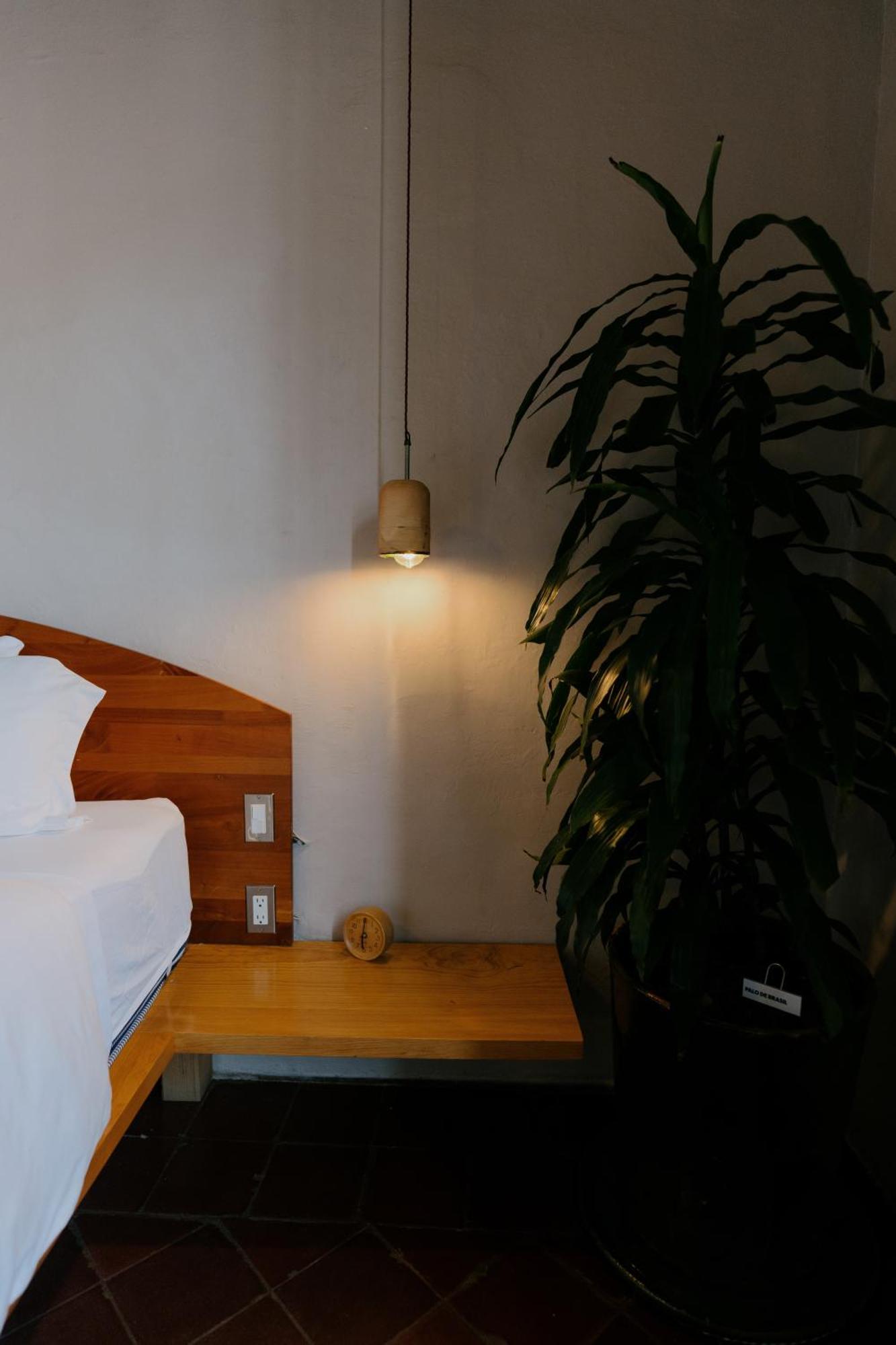 Grana B&B Oaxaca Ngoại thất bức ảnh